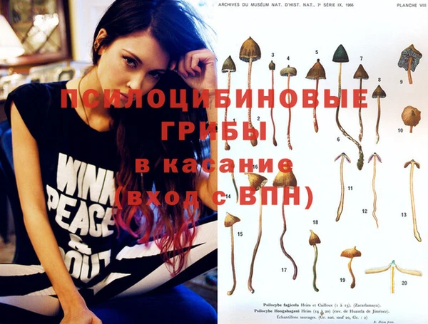 прущая мука Алзамай