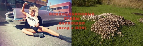 не бодяженный Алексин