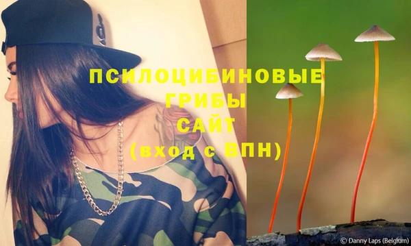 прущая мука Алзамай