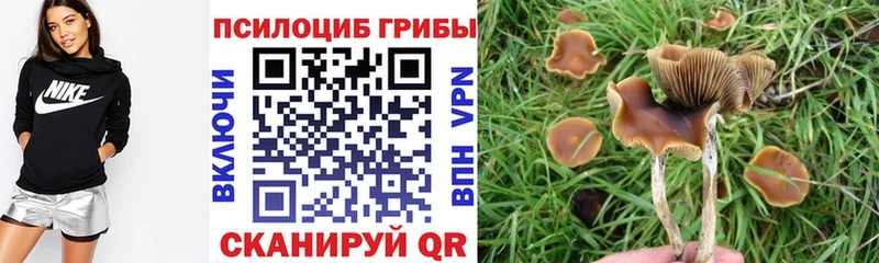 гидра как войти  дарк нет какой сайт  Сысерть  Псилоцибиновые грибы Psilocybine cubensis  купить наркоту 